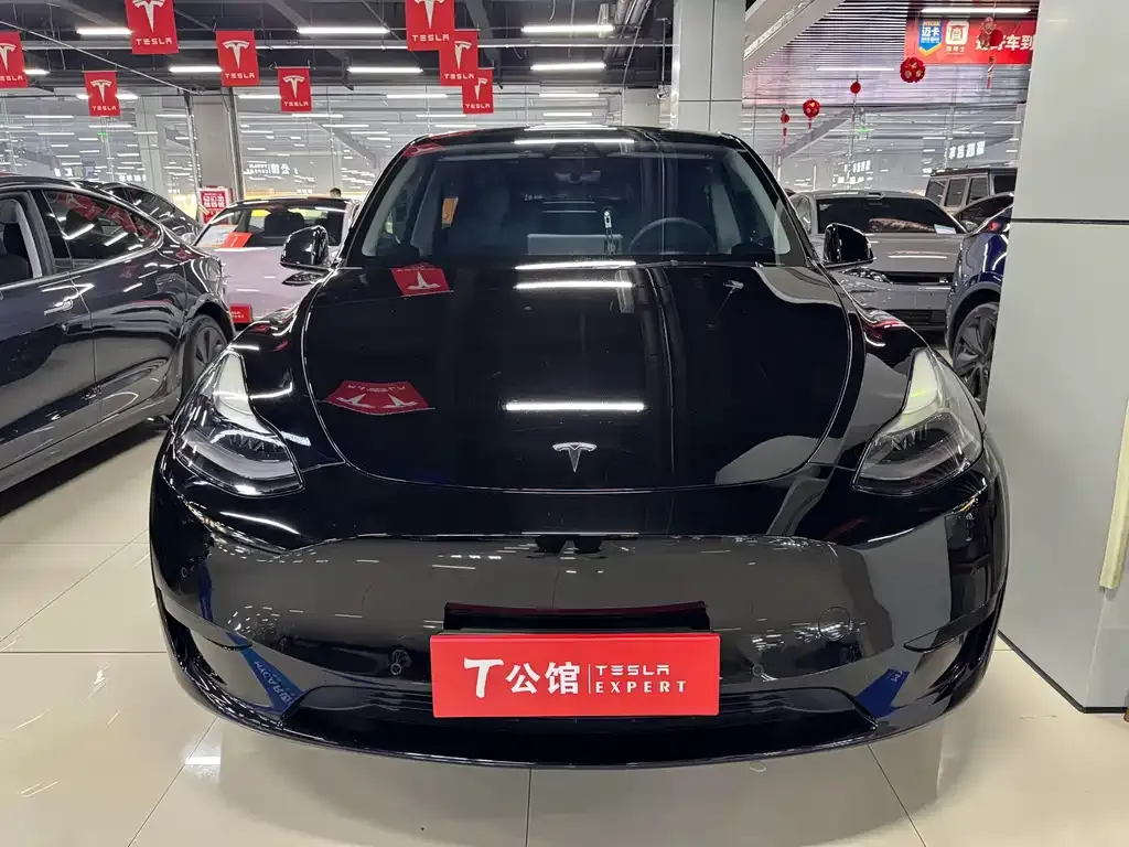 Tesla Model Y 2022 из CN, фото 4