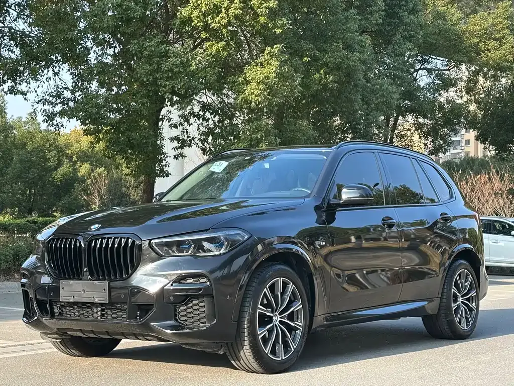 BMW X5 (Import) 2022 из CN, фото 1