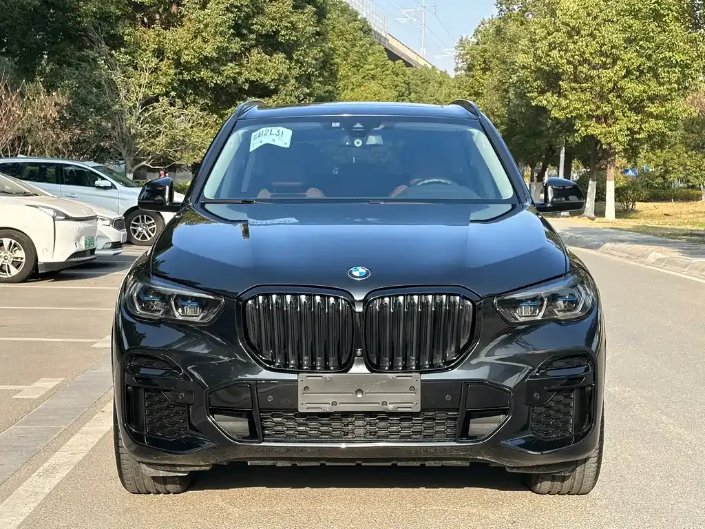 BMW X5 (Import) 2022 из CN, фото 10