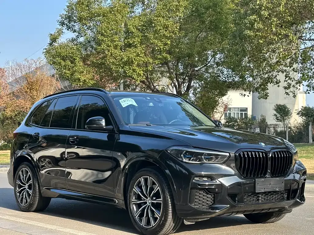 BMW X5 (Import) 2022 из CN, фото 5