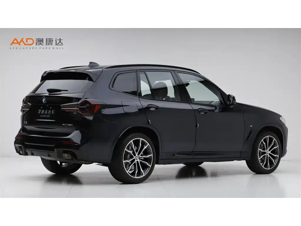BMW X3 2023 из CN, фото 6