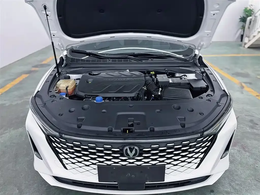 Changan Ruicheng PLUS 2023 из CN, фото 2