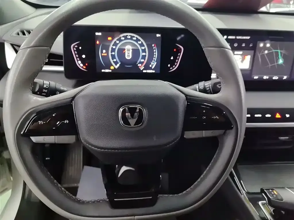 Changan Ruicheng PLUS 2023 из CN, фото 3
