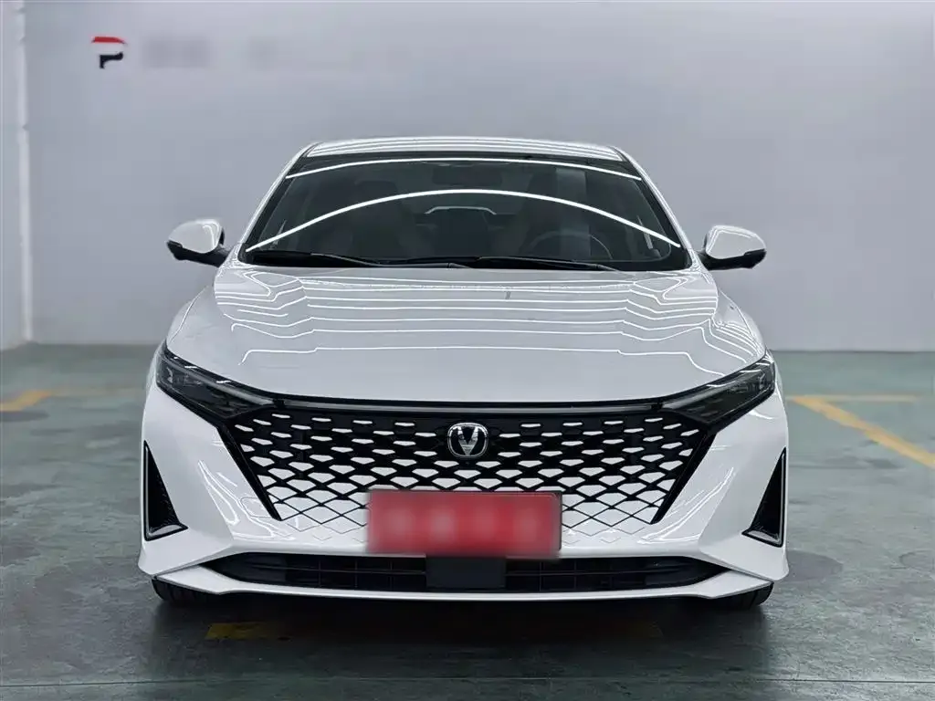Changan Ruicheng PLUS 2023 из CN, фото 7