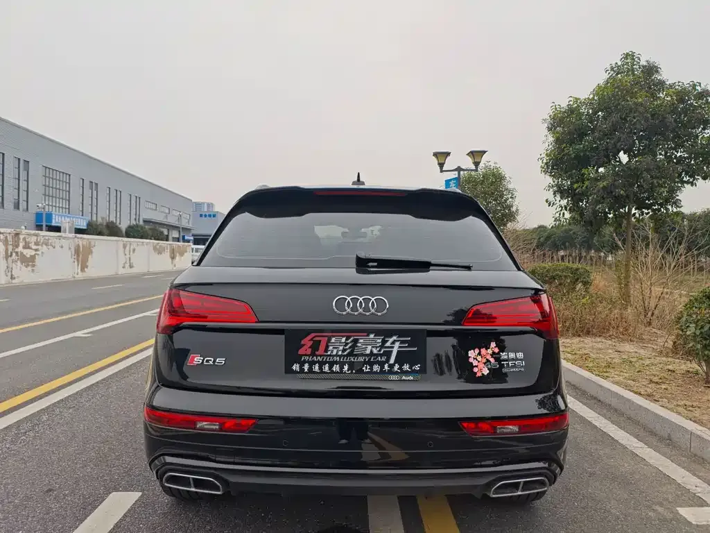 Audi Q5L 2024 из CN, фото 2