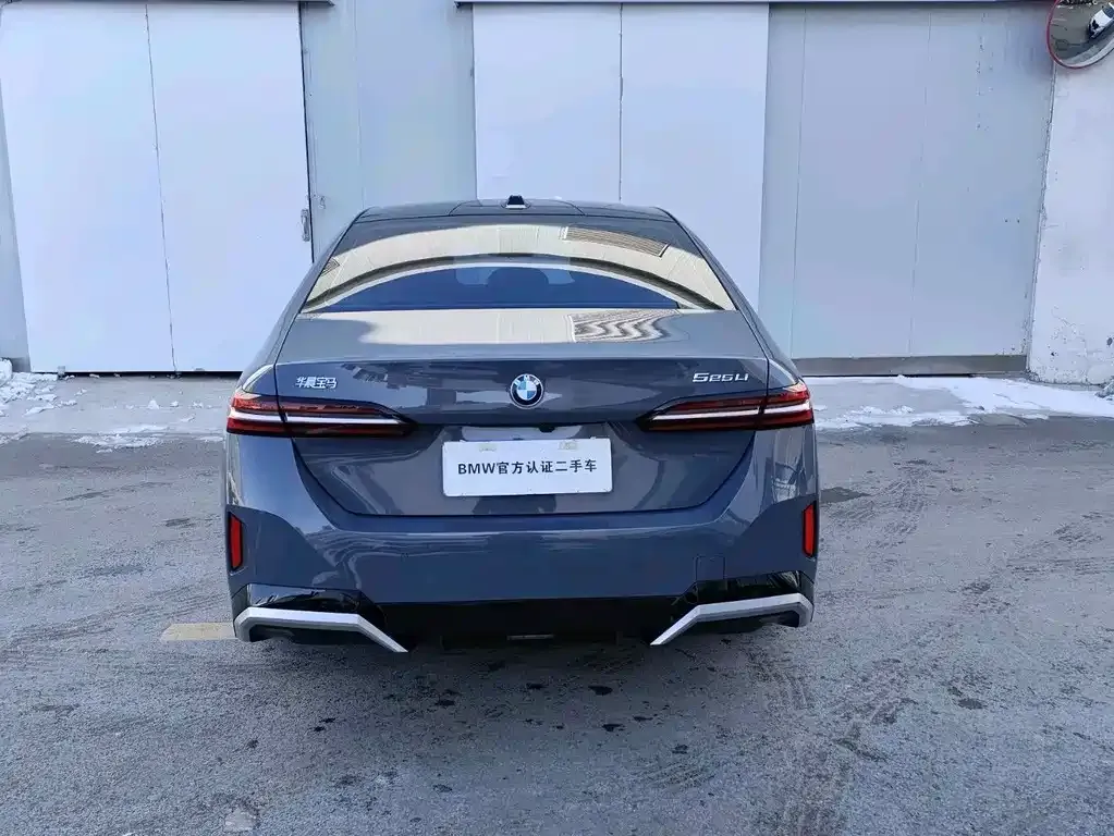 BMW 5 Series 2024 из CN, фото 9