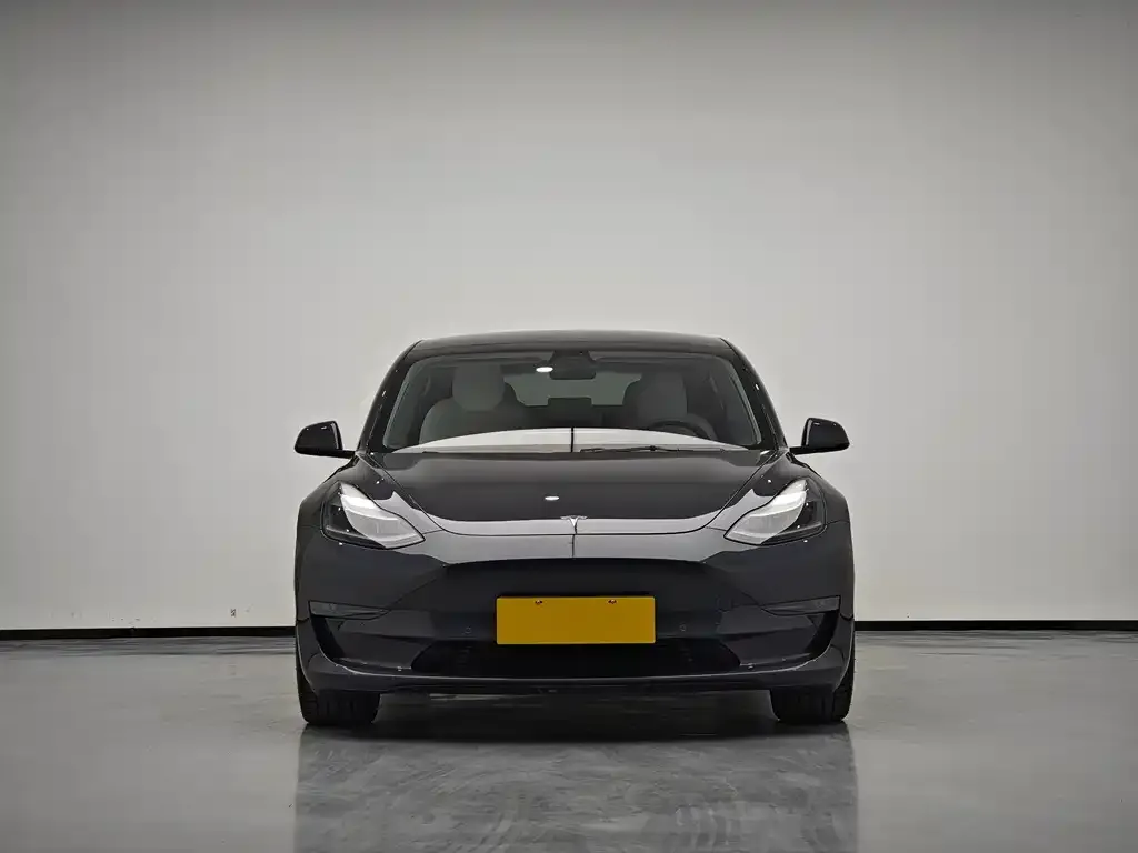 Tesla Model 3 2021 из CN, фото 3