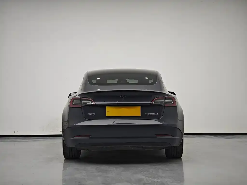 Tesla Model 3 2021 из CN, фото 6