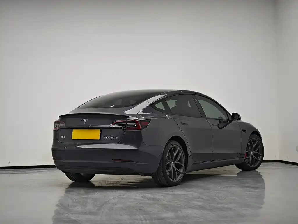 Tesla Model 3 2021 из CN, фото 2