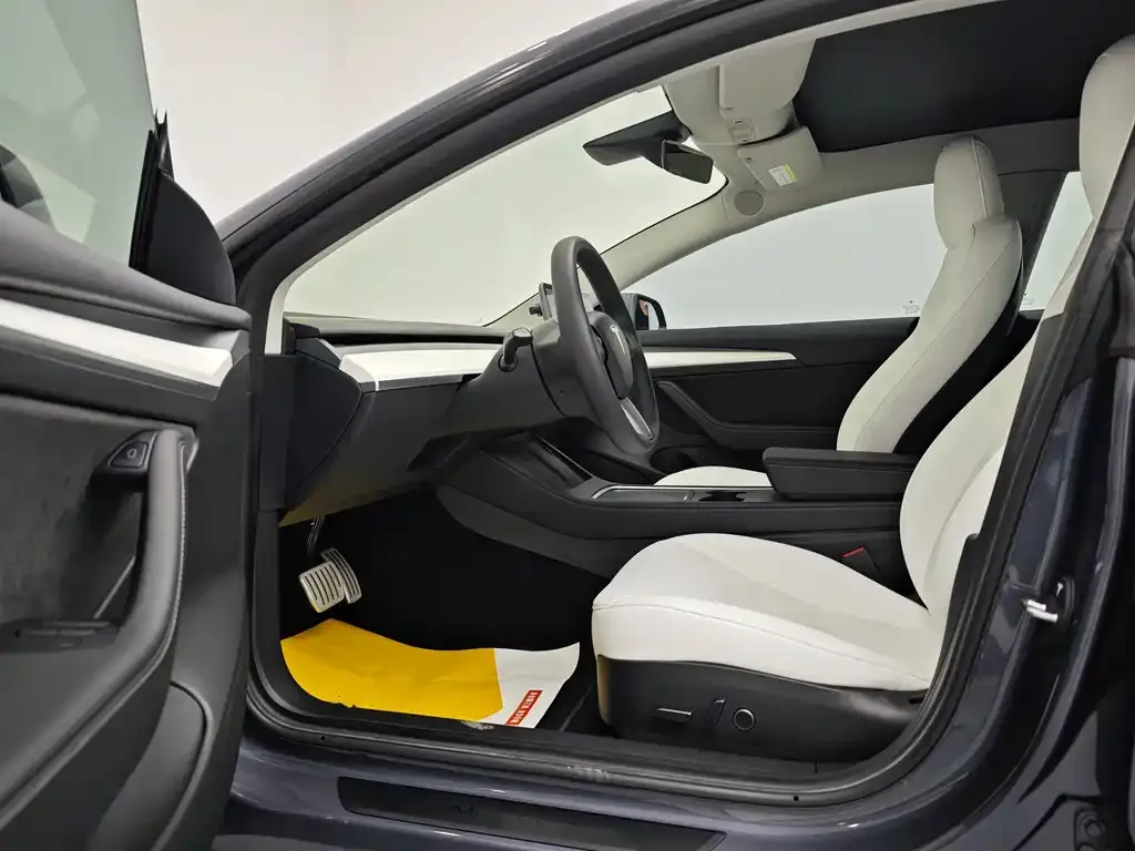 Tesla Model 3 2021 из CN, фото 4