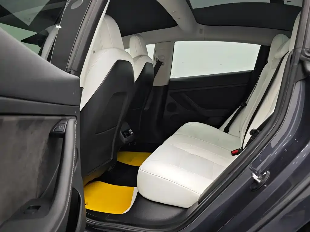 Tesla Model 3 2021 из CN, фото 10
