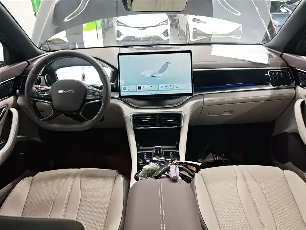 BYD PLUS New Energy 2025 из CN, фото 10