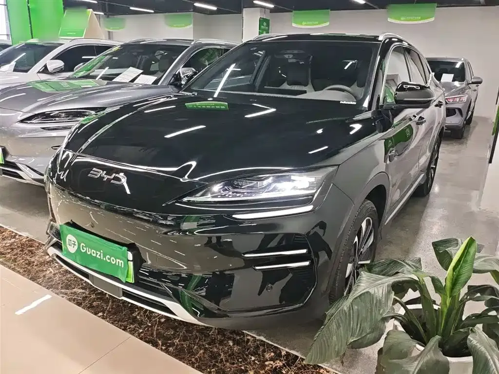 BYD PLUS New Energy 2025 из CN, фото 2
