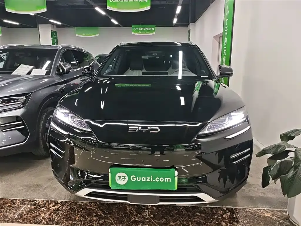 BYD PLUS New Energy 2025 из CN, фото 3