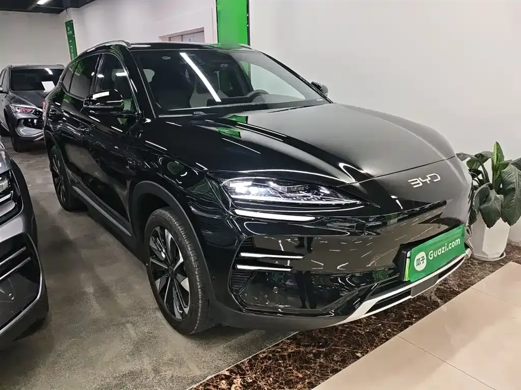 BYD PLUS New Energy 2025 из CN, фото 4
