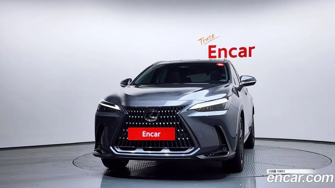 Lexus NX 2024 из KR, фото 3