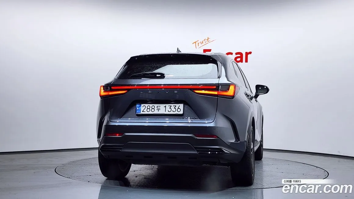 Lexus NX 2024 из KR, фото 4