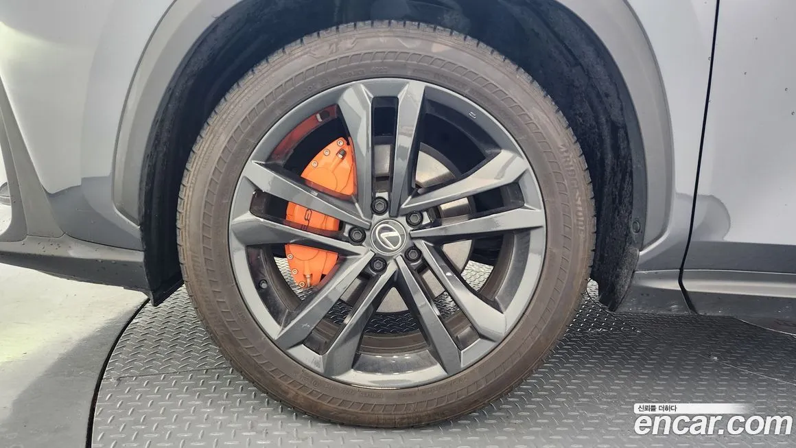 Lexus NX 2024 из KR, фото 6