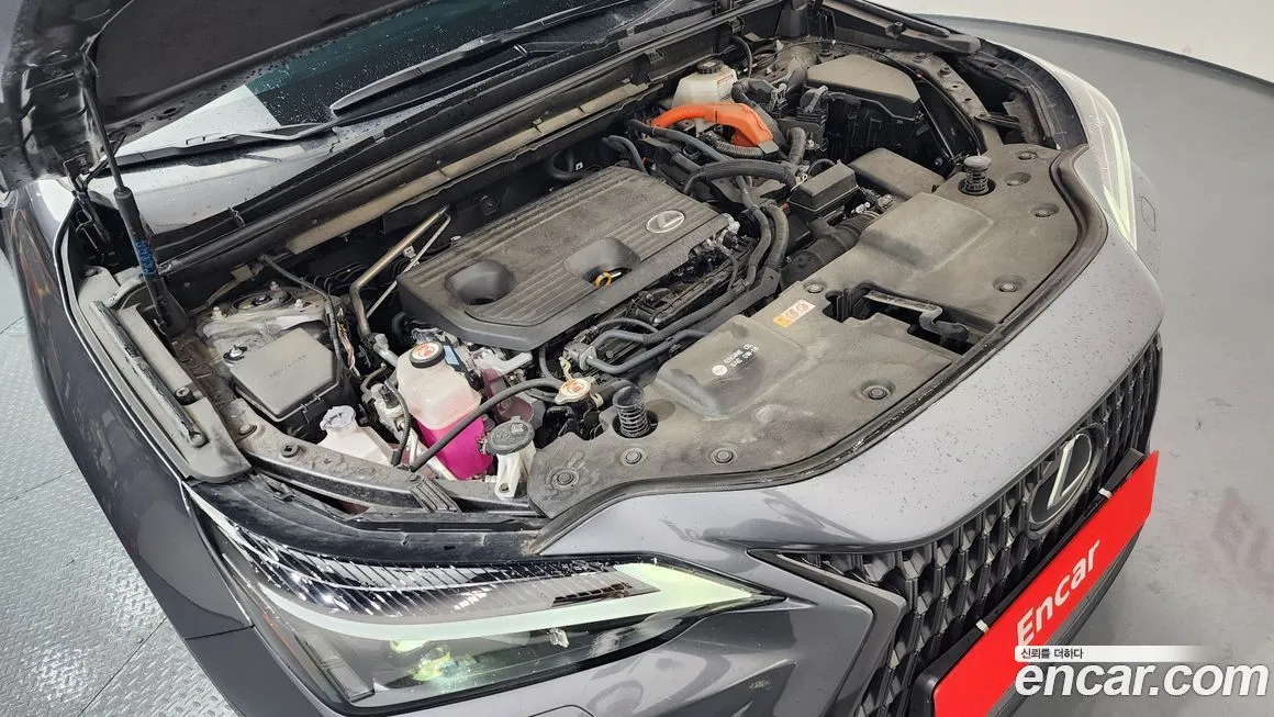 Lexus NX 2024 из KR, фото 8
