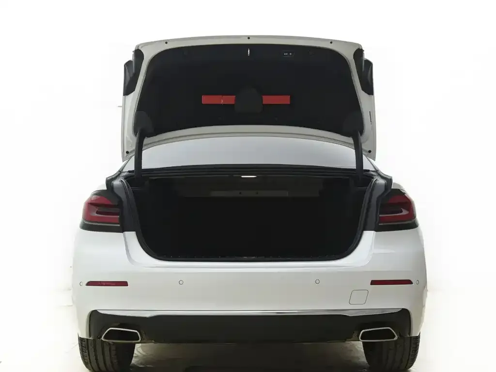 BMW 5 Series 2023 из CN, фото 3