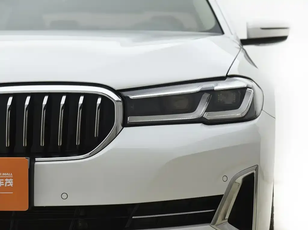BMW 5 Series 2023 из CN, фото 2