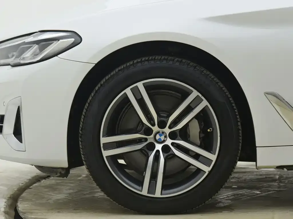 BMW 5 Series 2023 из CN, фото 9