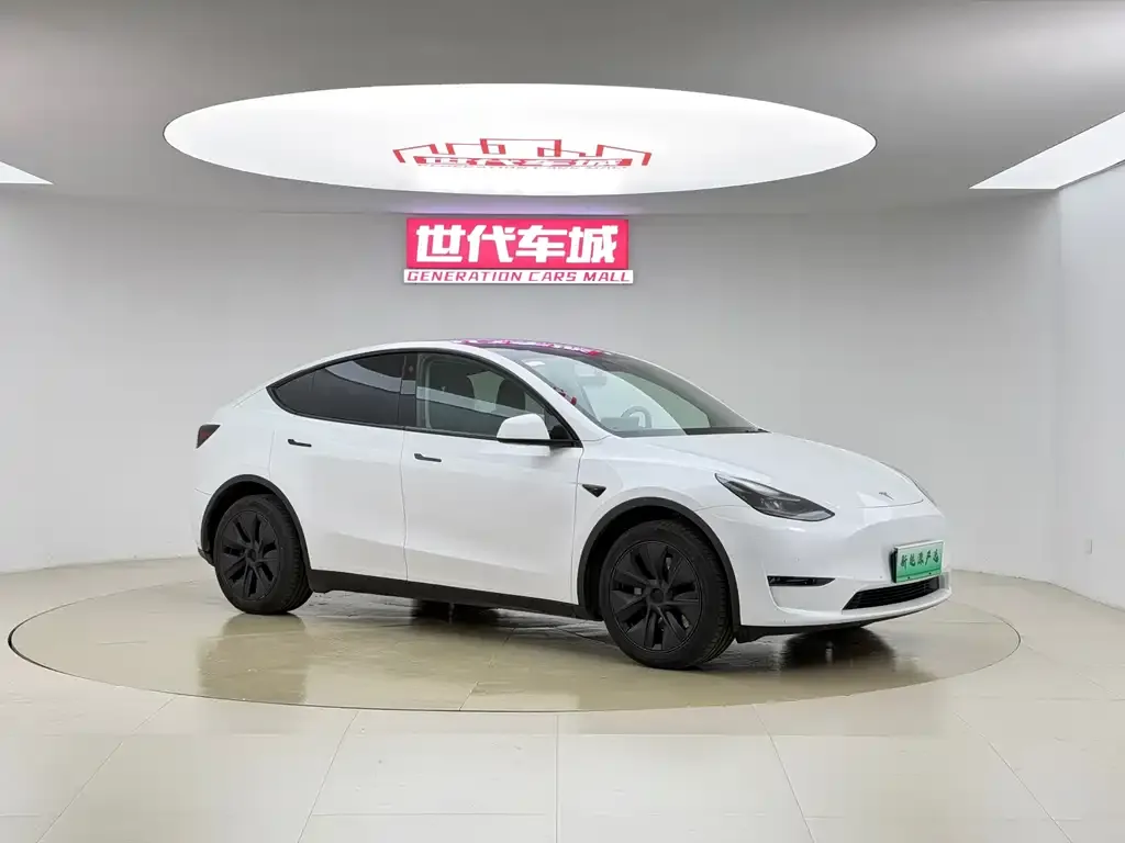 Tesla Model Y — фото 5