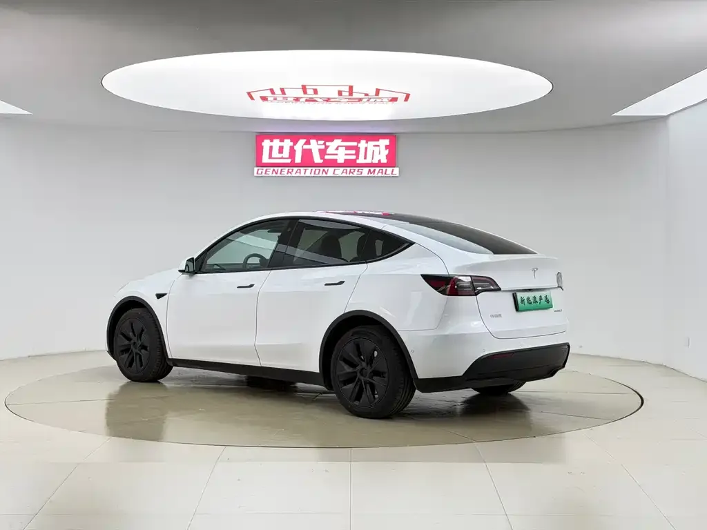 Tesla Model Y — фото 8