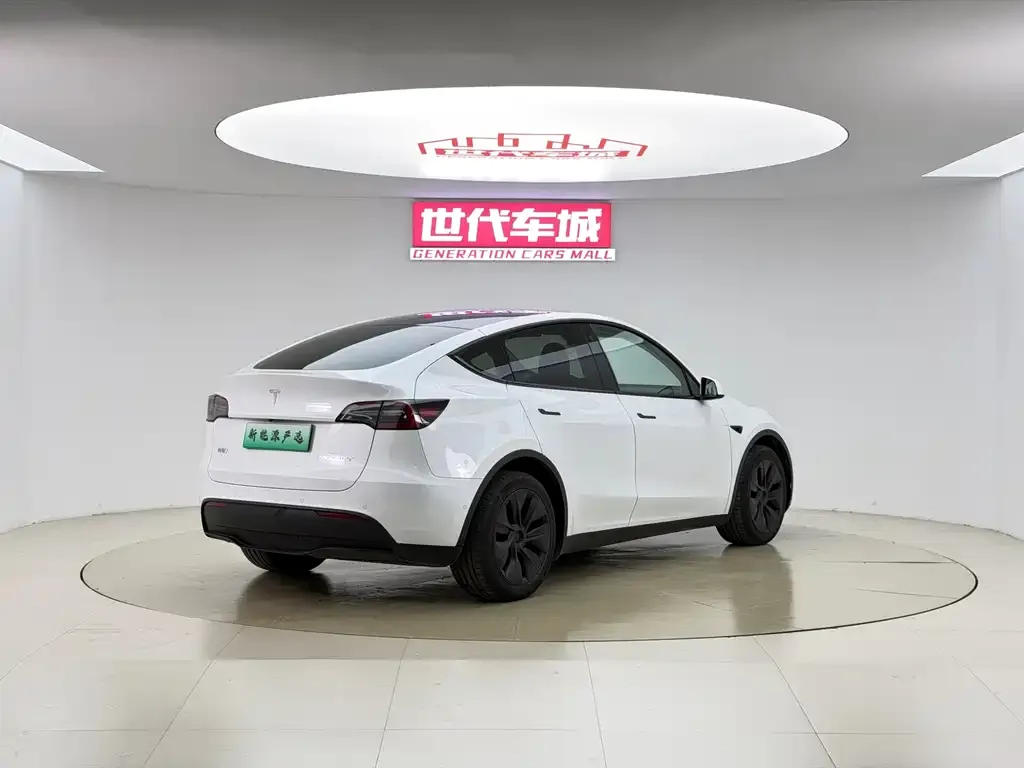 Tesla Model Y — фото 6