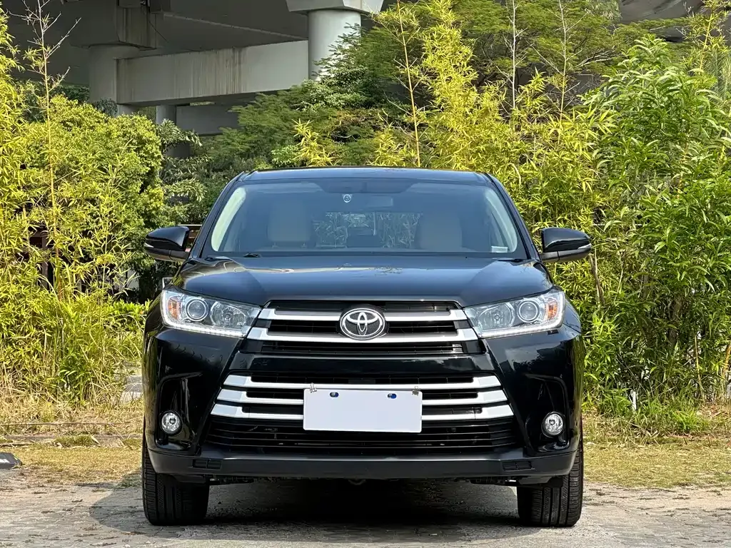 [object Object] Highlander 2021 из CN, фото 2