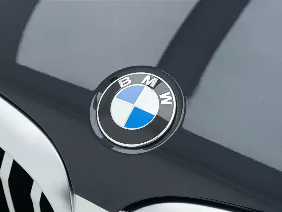 BMW X3 2024 из CN, фото 3