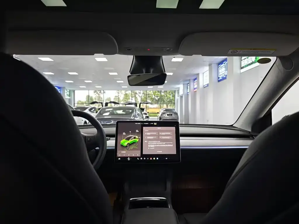 Tesla Model Y 2023 из CN, фото 4