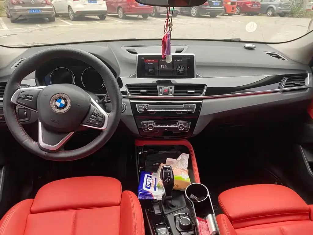 BMW X2 2021 из CN, фото 6