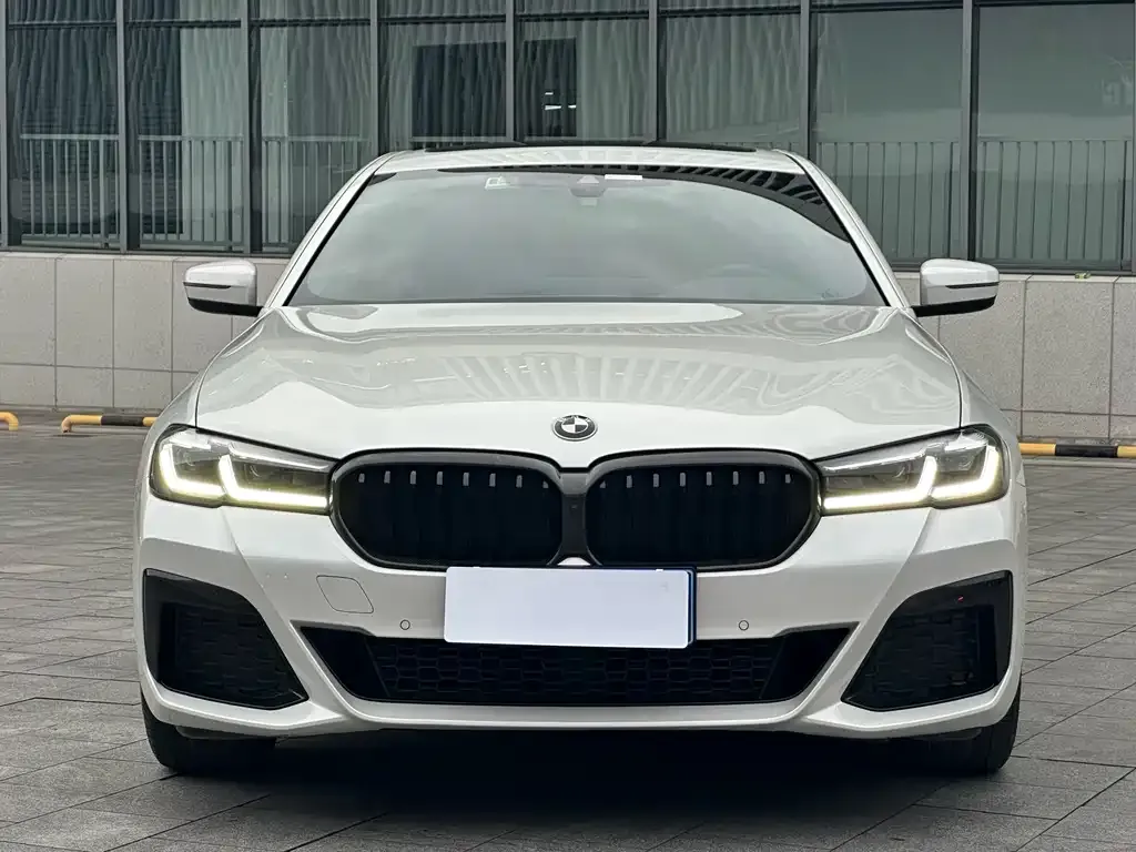 BMW 5 Series 2022 из CN, фото 2