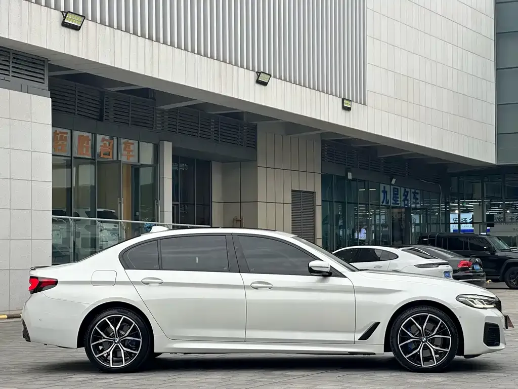 BMW 5 Series 2022 из CN, фото 3