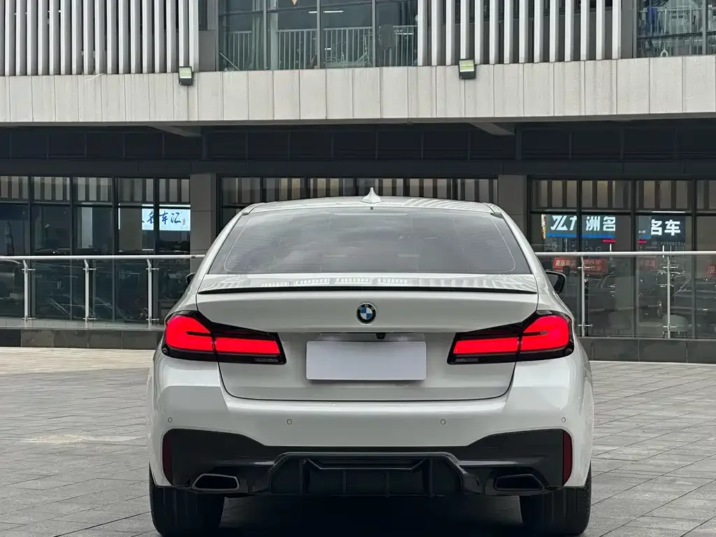 BMW 5 Series 2022 из CN, фото 6