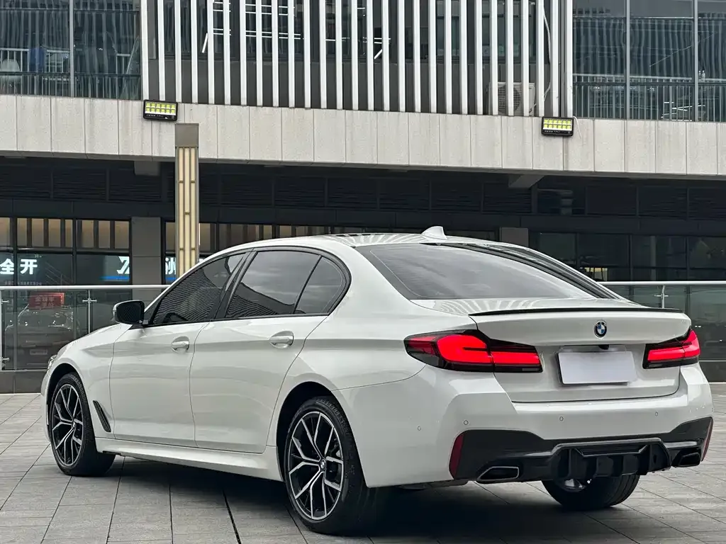 BMW 5 Series 2022 из CN, фото 5