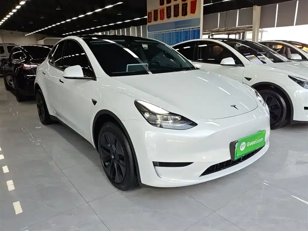 Tesla Model Y 2024 из CN, фото 9