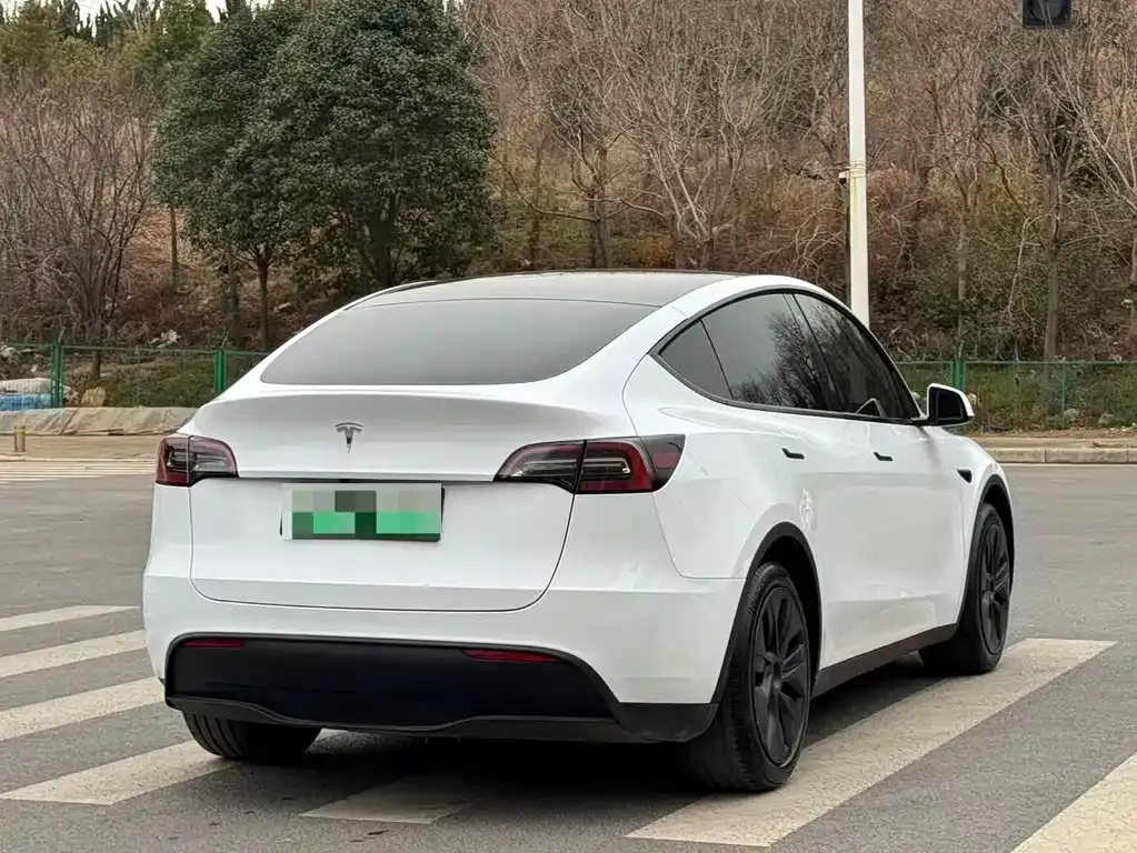 Tesla Model Y — фото 7