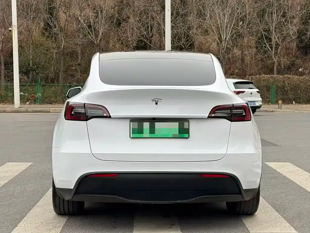 Tesla Model Y — фото 6