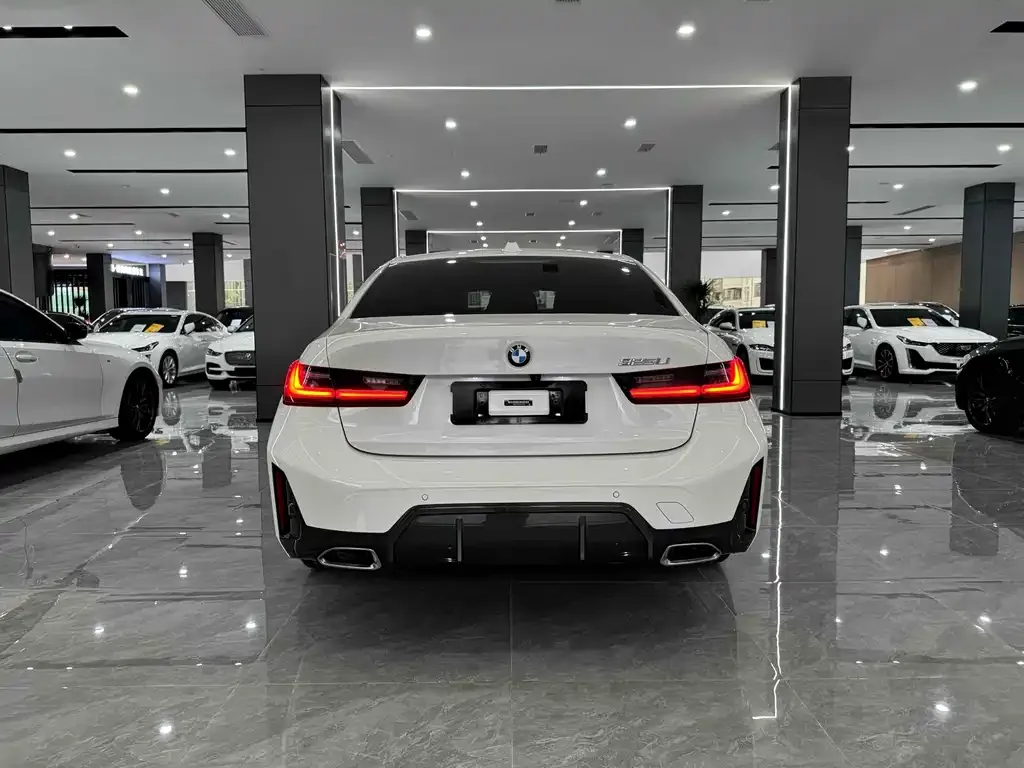 BMW 3 Series 2023 из CN, фото 8