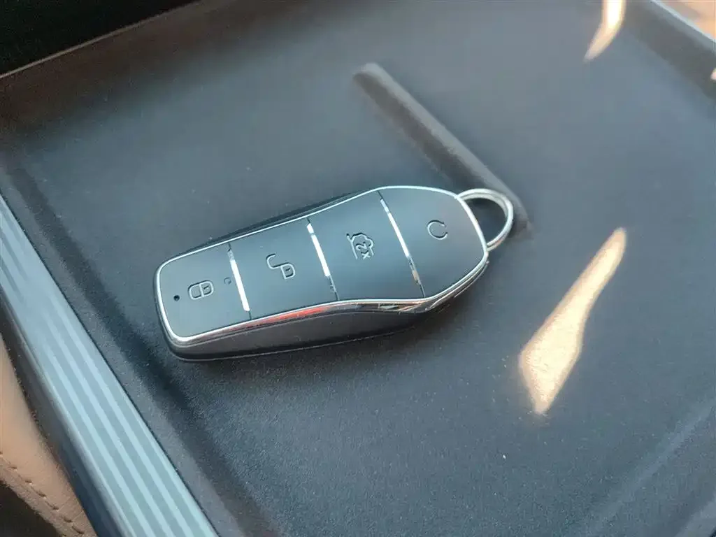 BYD L DM-i — фото 6