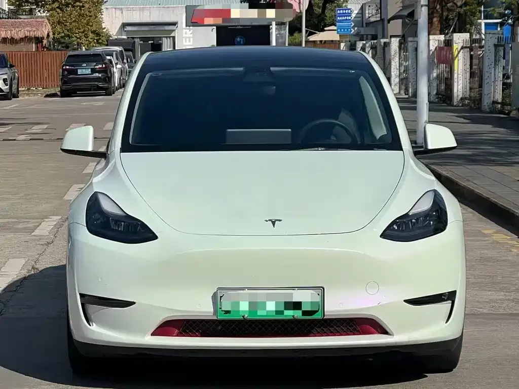 Tesla Model Y 2021 из CN, фото 1