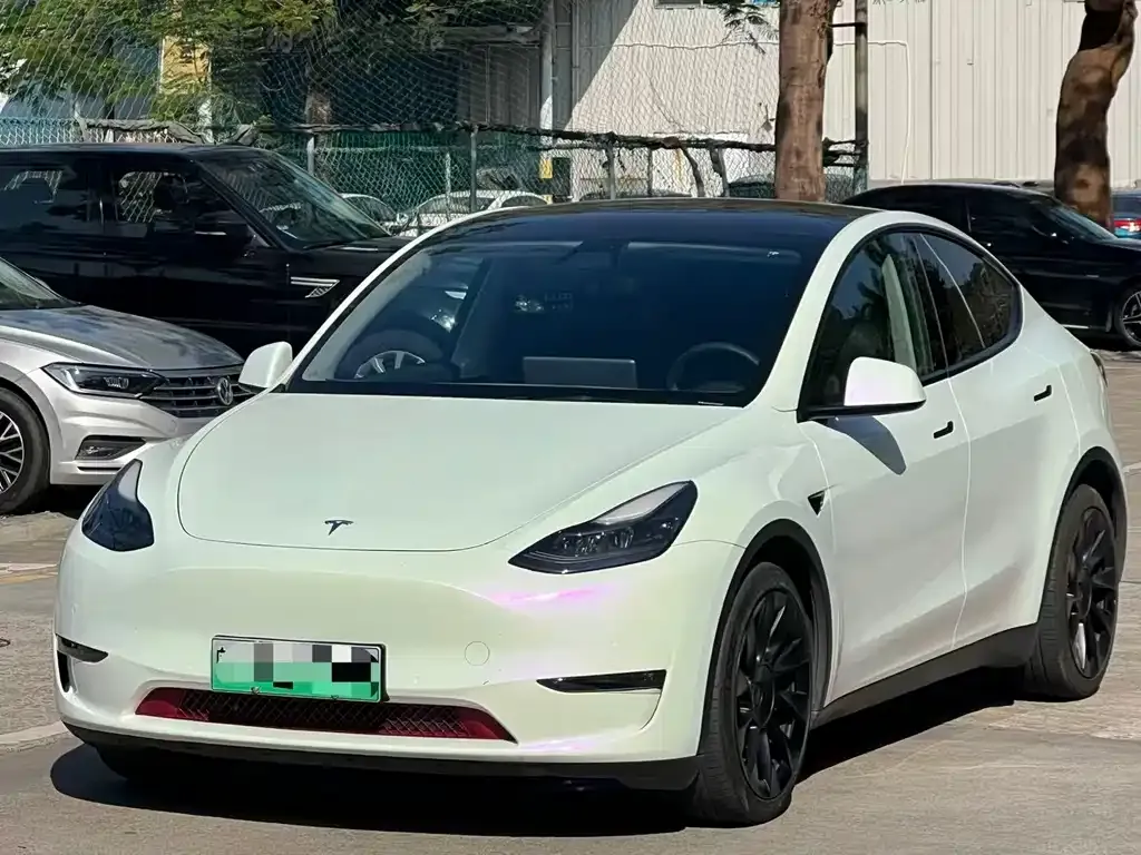 Tesla Model Y 2021 из CN, фото 2