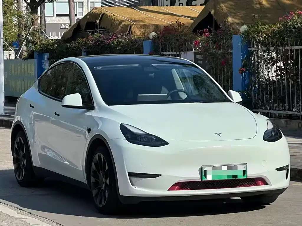 Tesla Model Y 2021 из CN, фото 4