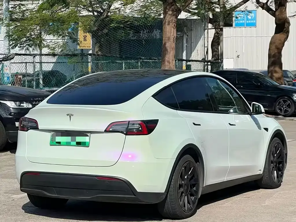 Tesla Model Y 2021 из CN, фото 6