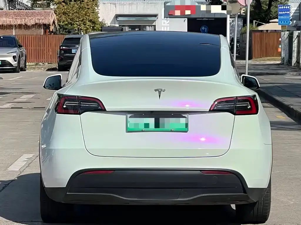 Tesla Model Y 2021 из CN, фото 9