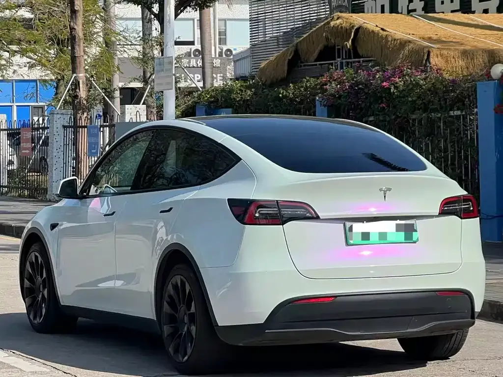 Tesla Model Y 2021 из CN, фото 8