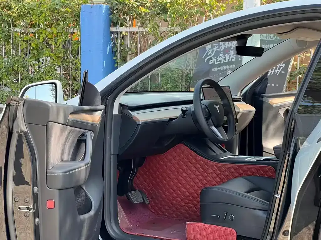 Tesla Model Y 2021 из CN, фото 7