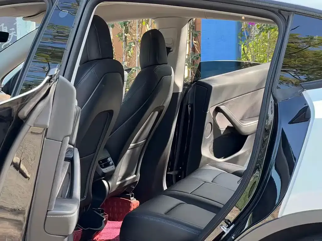 Tesla Model Y 2021 из CN, фото 3